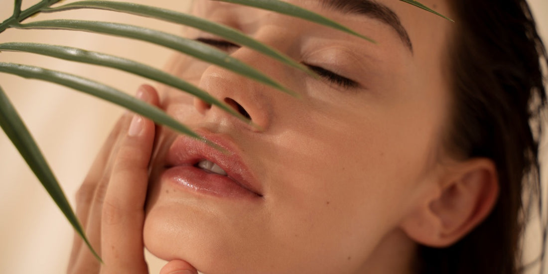 La qualità dei prodotti La Beauty: un’eccellenza naturale a base di Olio Extravergine di Oliva